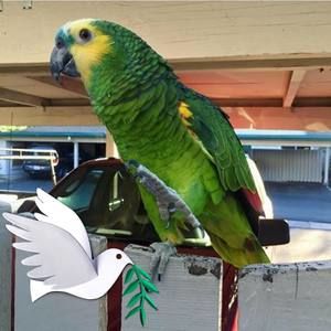 Meet your Posher, Frankbaby